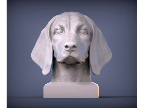 Beagle bust 3D Print Model