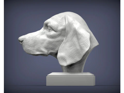 Beagle bust 3D Print Model