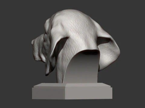 Beagle bust 3D Print Model