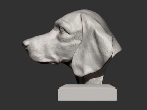 Beagle bust 3D Print Model