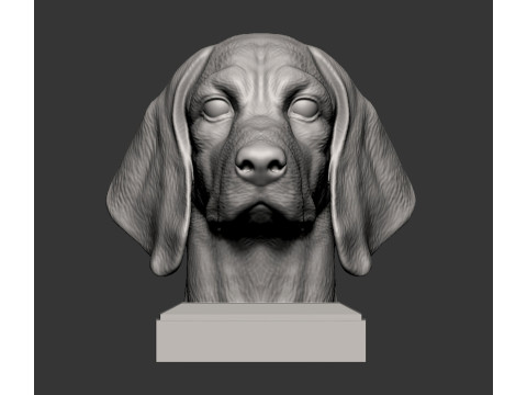 Beagle bust 3D प्रिंट मॉडल
