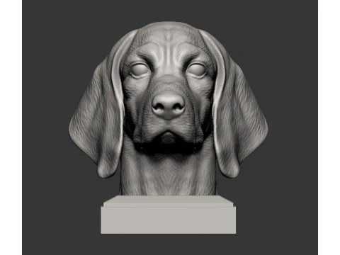 Beagle bust 3D Print Model