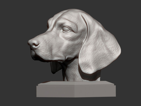Beagle bust 3D प्रिंट मॉडल