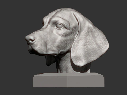 Beagle bust 3D Print Model