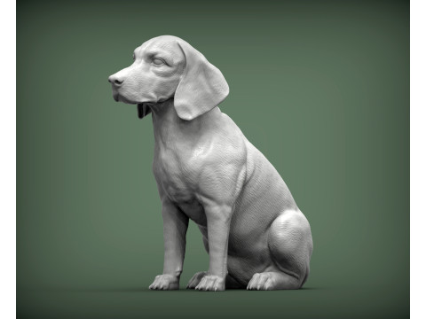 Beagle bust 3D Baskı Modeli