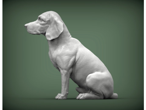 Beagle bust 3D Baskı Modeli