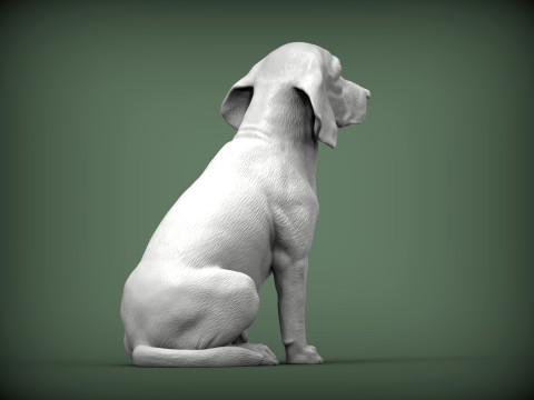 Beagle bust 3D Baskı Modeli