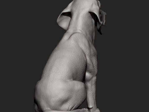 Beagle bust 3D Baskı Modeli
