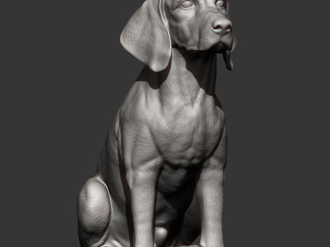 Beagle bust 3D Baskı Modeli