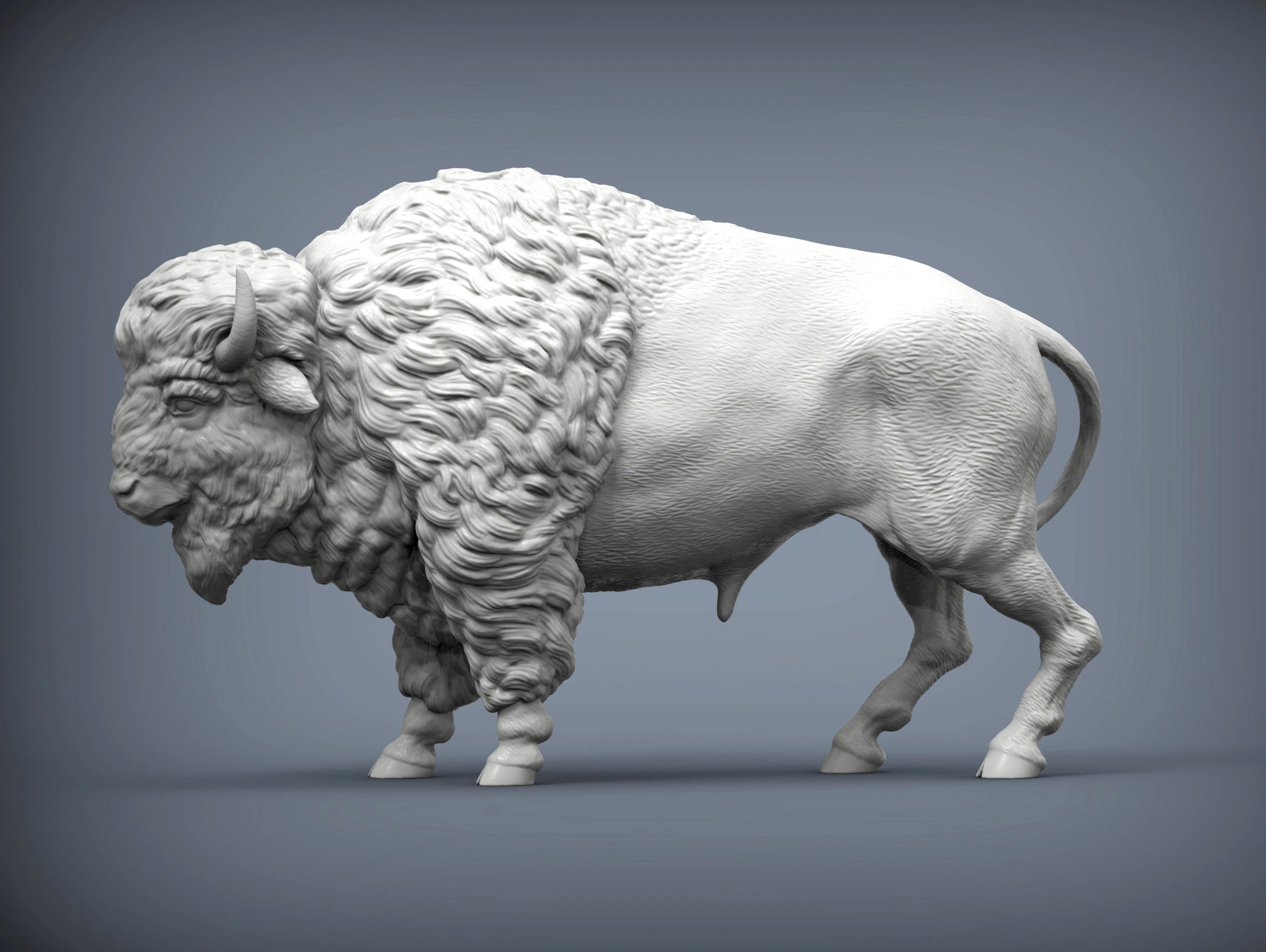 Bison 3D Print Model .c4d .max .obj .3ds .fbx .stl .blend 