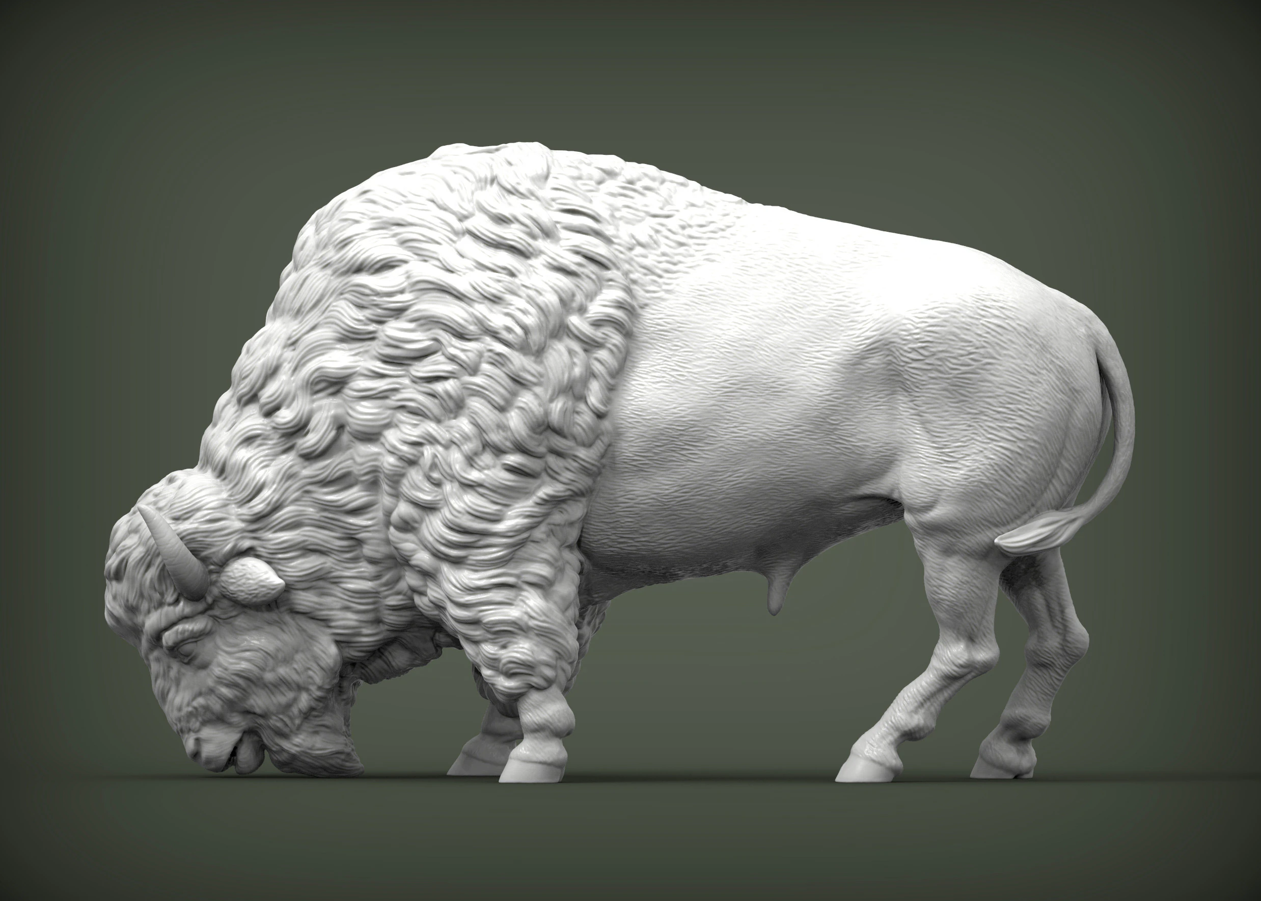 Bison 3D Print Model .c4d .max .obj .3ds .fbx .stl .blend 
