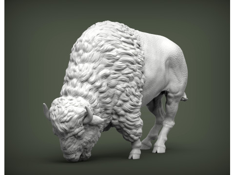 Bison 3D 打印模型