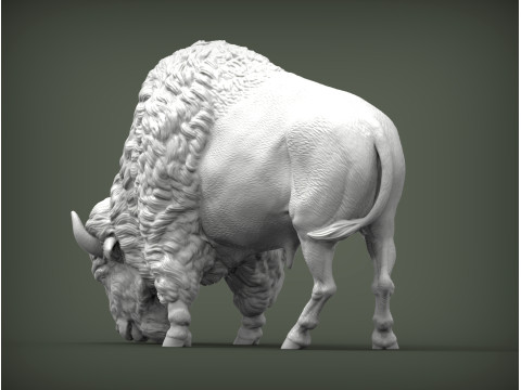 Bison 3D 打印模型