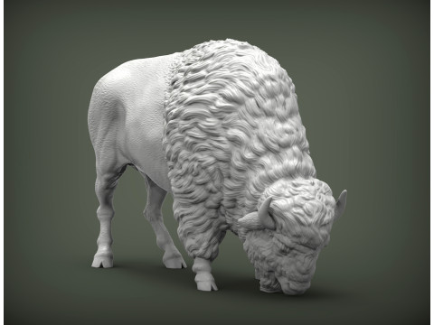 Bison 3D 打印模型