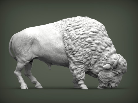 Bison 3D 打印模型