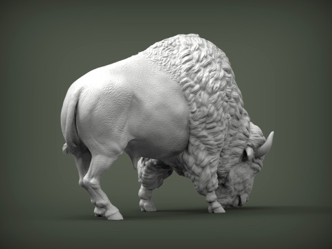 Bison 3D 打印模型