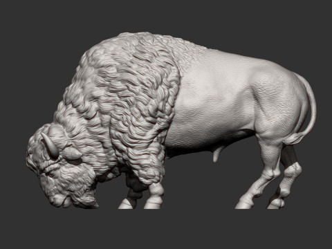 Bison 3D 打印模型