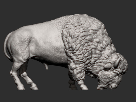 Bison 3D 打印模型