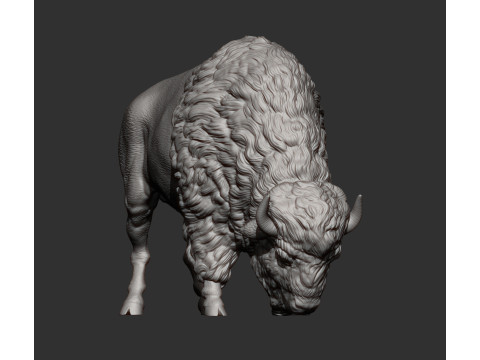 Bison 3D 打印模型