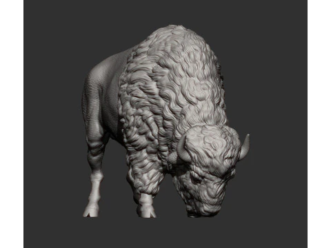 Bison 3D Print Model