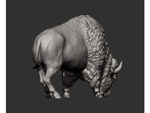 Bison 3D 打印模型