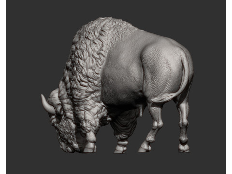 Bison 3D 打印模型