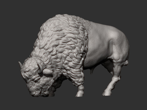 Bison 3D 打印模型