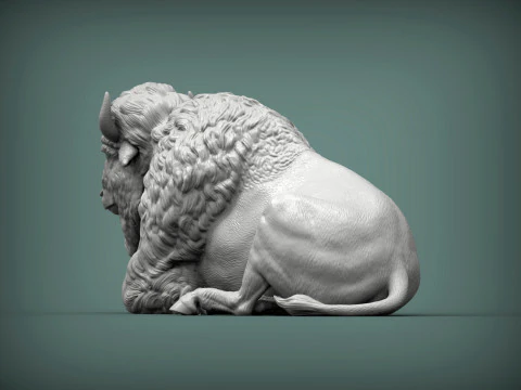 Bison 3D Print Model