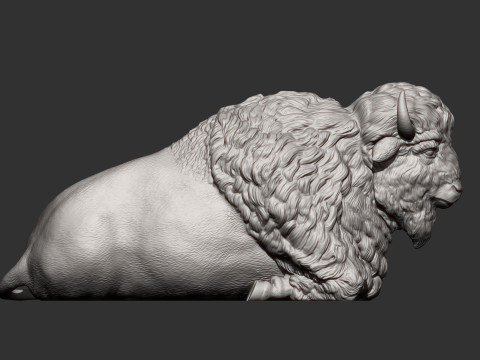 Bison 3D Baskı Modeli