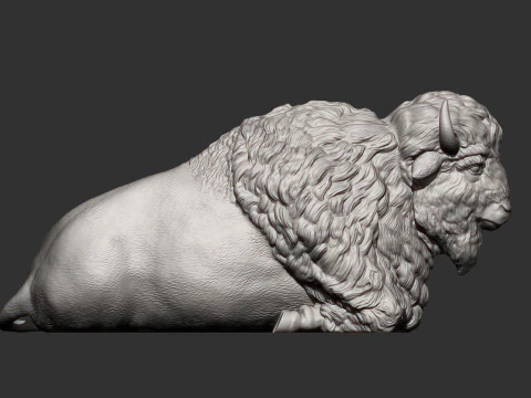 Bison 3D Print Model