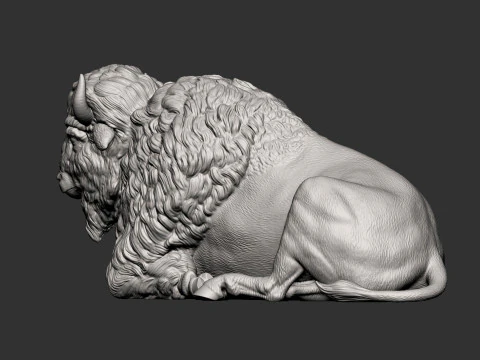 Bison 3D Print Model
