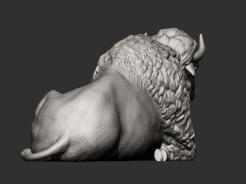 Bison 3D Print Model
