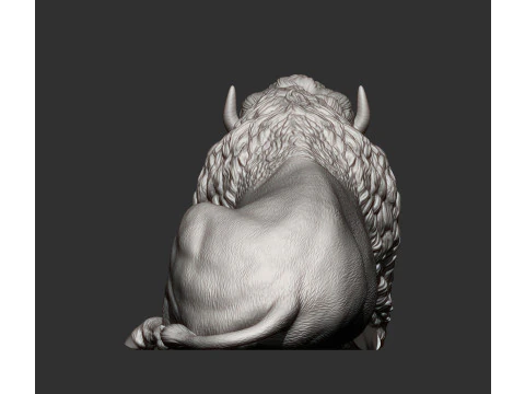 Bison 3D Print Model