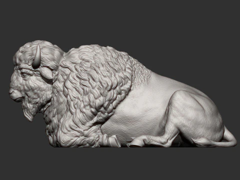 Bison 3D Print Model