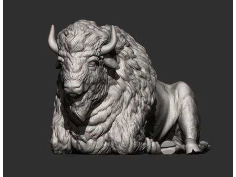 Bison 3D Print Model