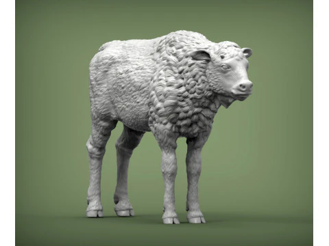 Vitello di bisonte Modello di stampa 3D