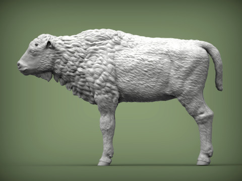 Bison calf 3D-printmodel