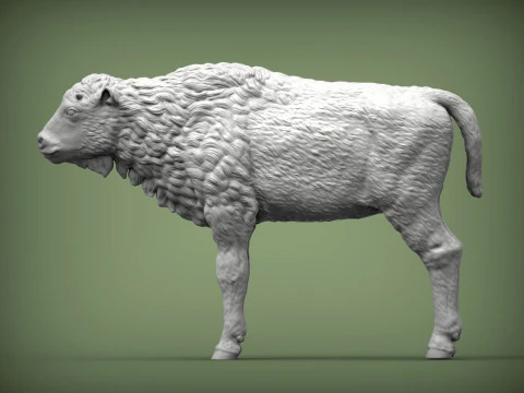 Cielę bizona Model do druku 3D