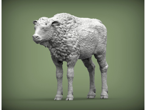 Bison calf 3D-printmodel
