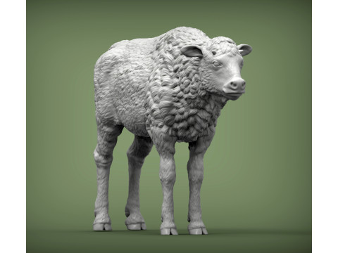 Bison calf 3D-printmodel