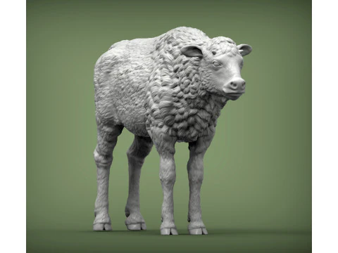 Cielę bizona Model do druku 3D