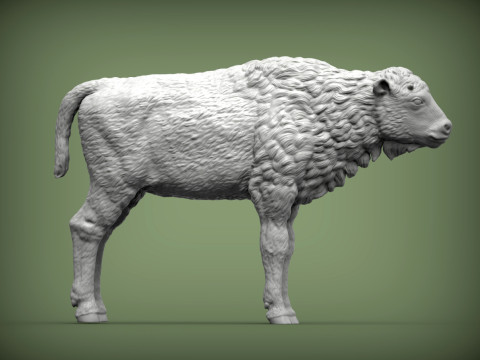 Bison calf 3D-printmodel
