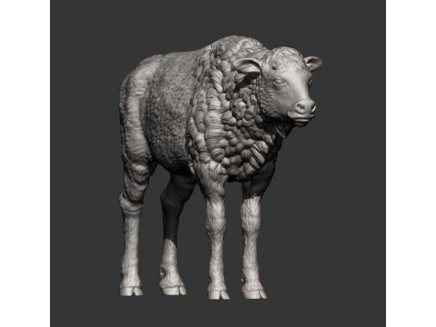 Bison calf 3D-printmodel