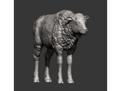 Cielę bizona Model do druku 3D