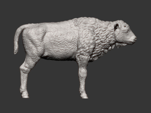 Bison calf 3D-printmodel