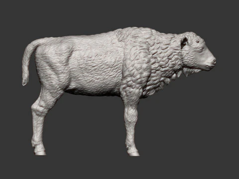 Cielę bizona Model do druku 3D