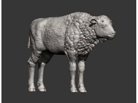 Cielę bizona Model do druku 3D