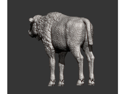 Bison calf 3D-printmodel