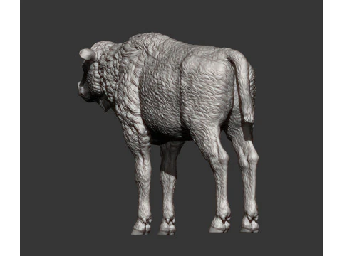 Cielę bizona Model do druku 3D