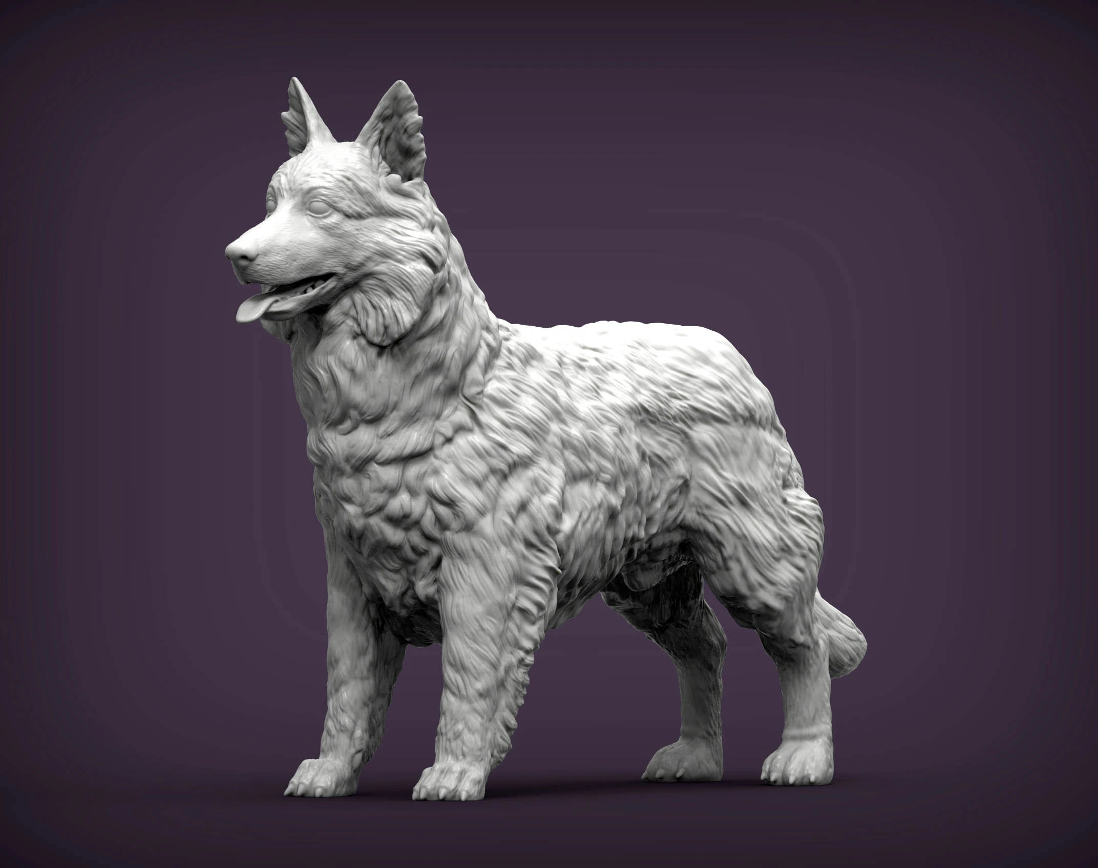 Border Collie 3D Print Model .c4d .max .obj .3ds .fbx .stl .blend 